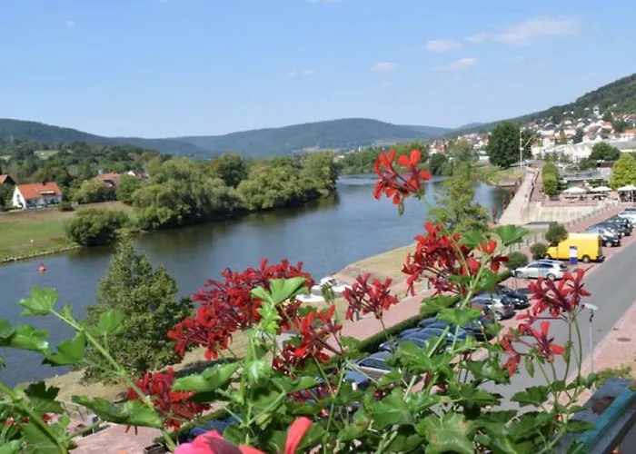 Goldenes Fass Ξενοδοχείο Freudenberg am Main