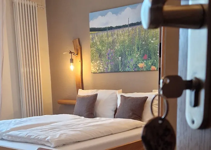 Goldenes Fass Ξενοδοχείο Freudenberg am Main